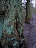 /album/parks-etc/hampstead-heath-3-jpg/